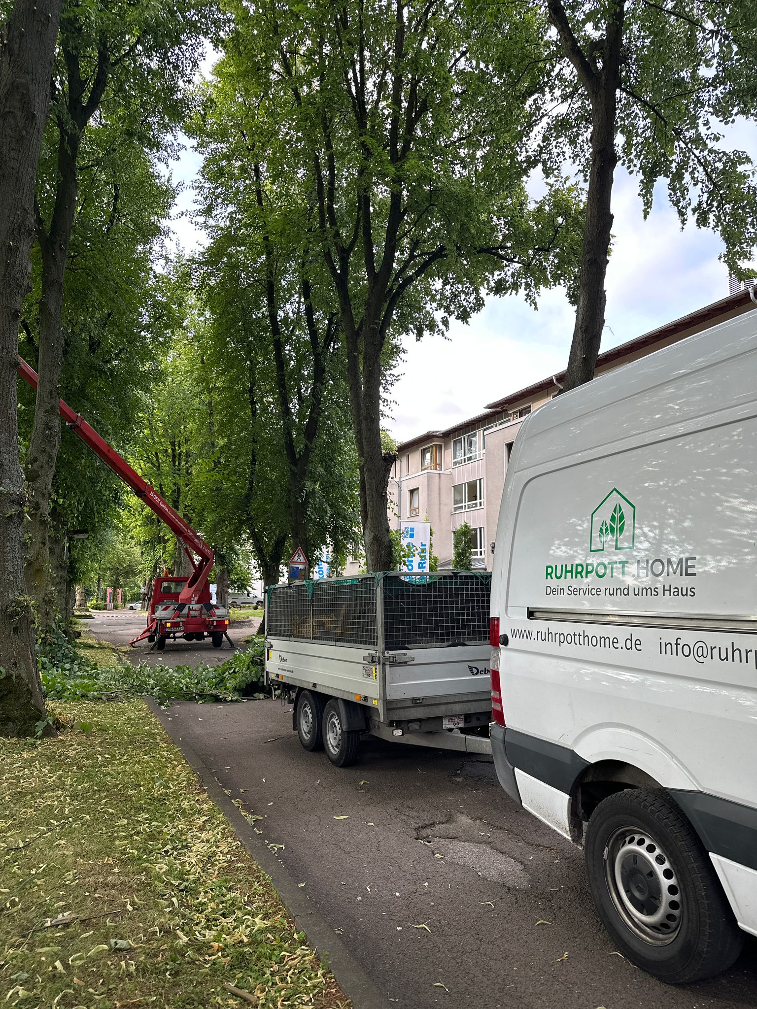 WhatsApp Image 2023-10-17 at 07.21.48 (1).jpeg