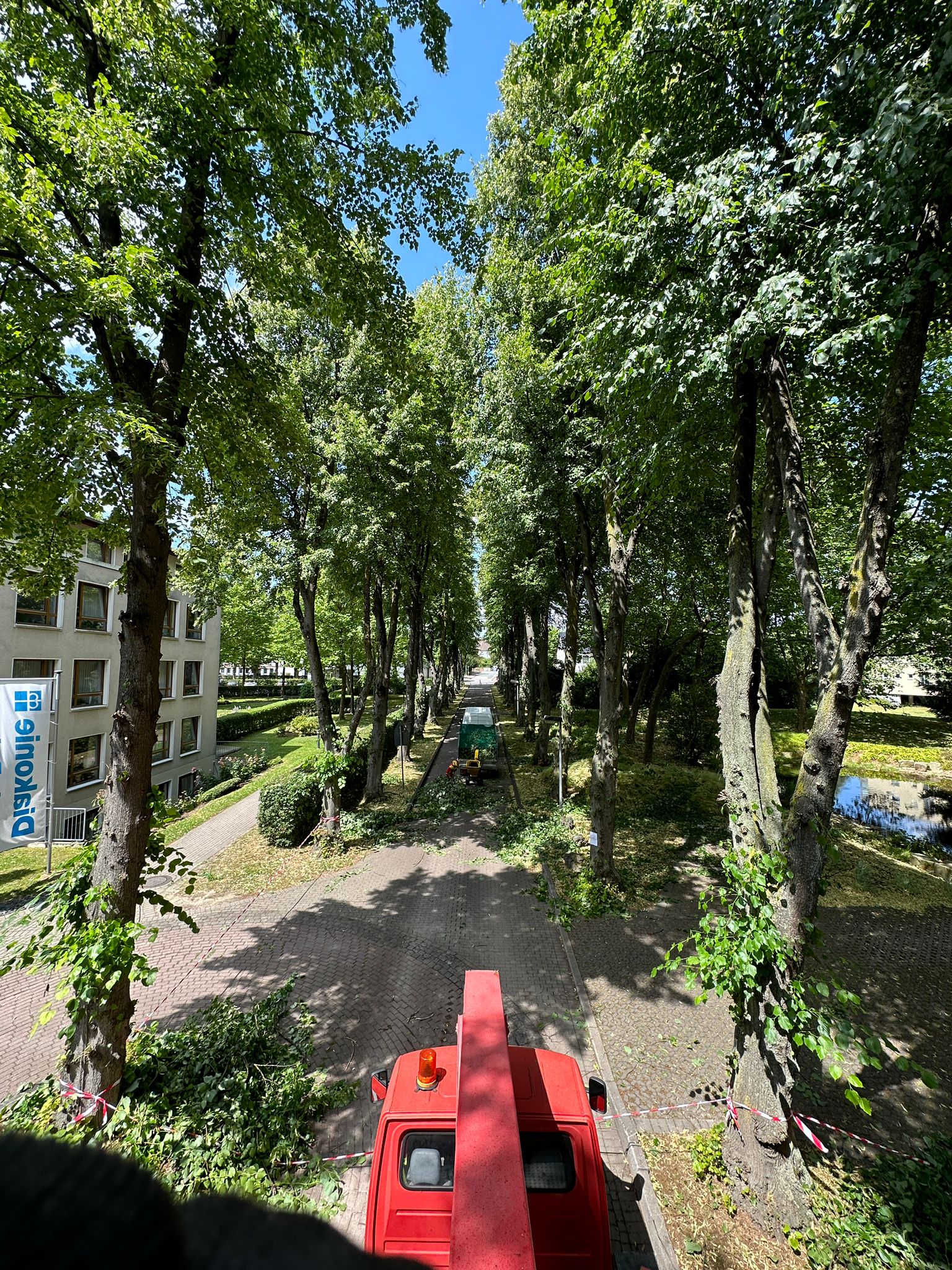 WhatsApp Image 2023-10-17 at 07.21.48.jpeg