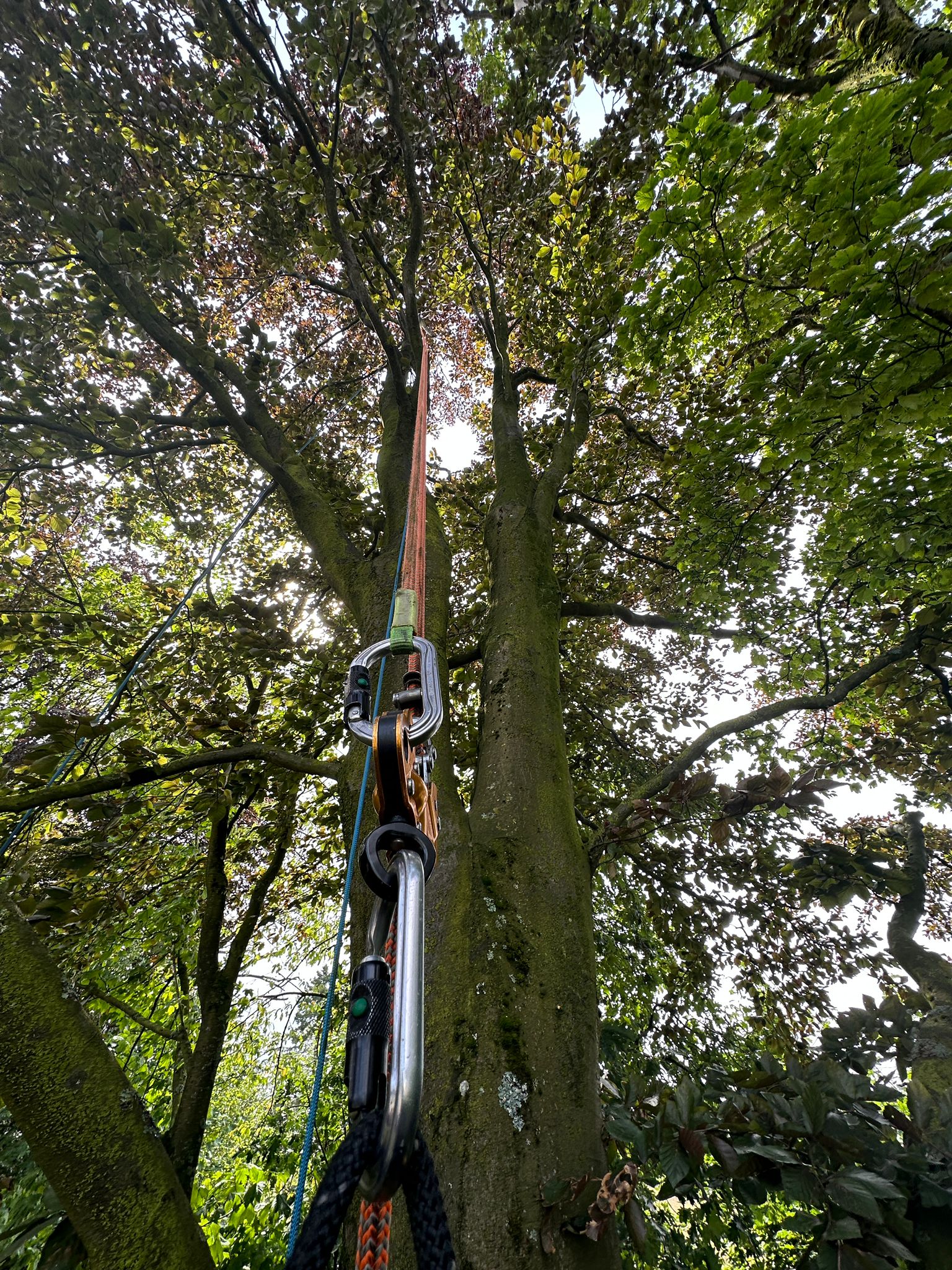 WhatsApp Image 2023-10-17 at 07.21.46 (7).jpeg