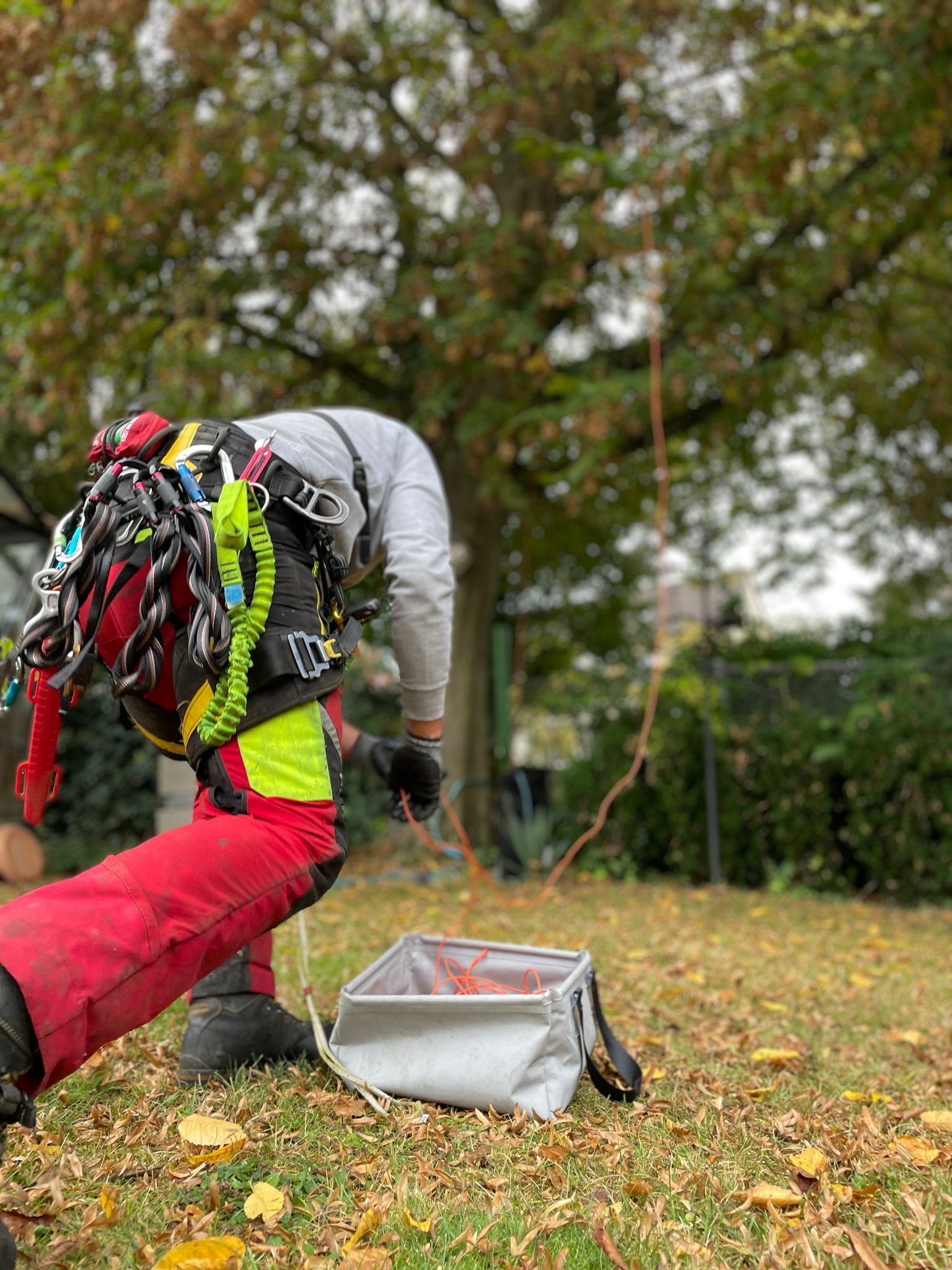 WhatsApp Image 2023-10-17 at 07.21.46 (3).jpeg